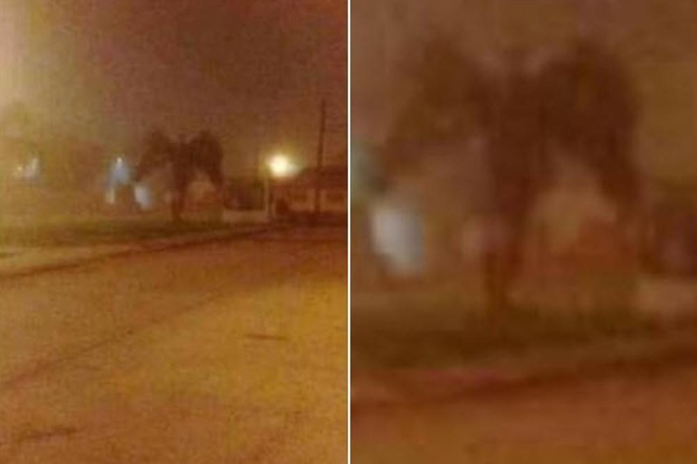 JEZIVA SLIKA KRUŽI INTERNETOM: Da li je snimljen DEMON? (FOTO)