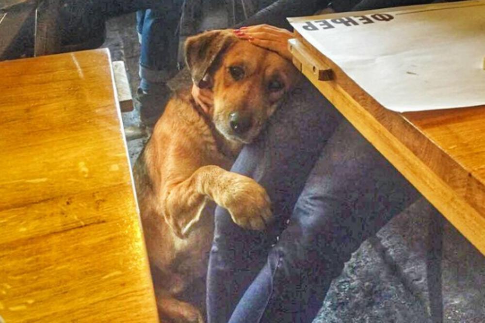 Ova slika otopila je zaleđenu Srbiju! Otopiće i vaše srce kada čujete o čemu se radi! (FOTO)