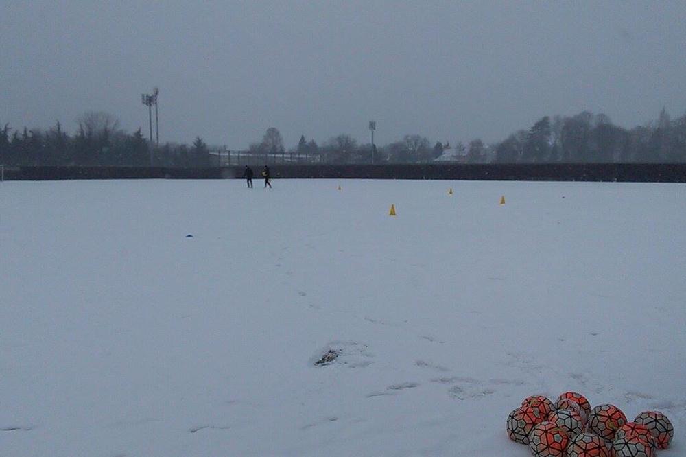 Grobari, zbog ove činjenice treba da budete ponosni na igrače Partizana! (VIDEO)