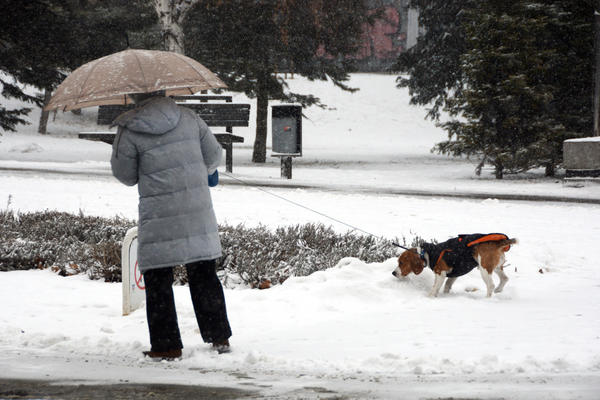 Tačno ovog datuma će sneg pasti u gradovima širom Srbije: Okovaće celu zemlju, biće teška ledara