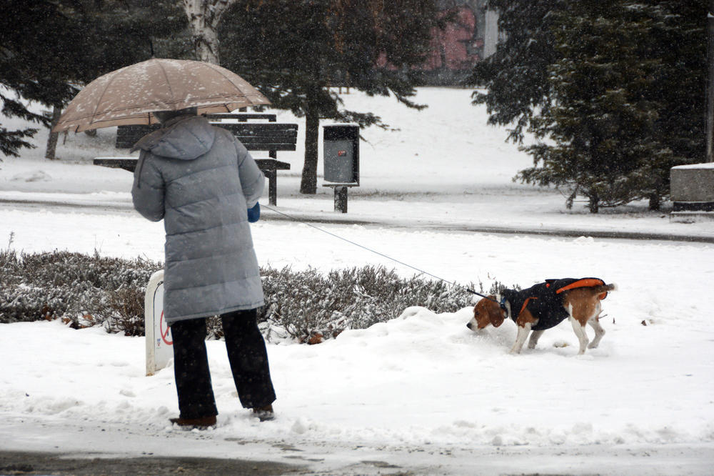 Tačno ovog datuma će sneg pasti u gradovima širom Srbije: Okovaće celu zemlju, biće teška ledara