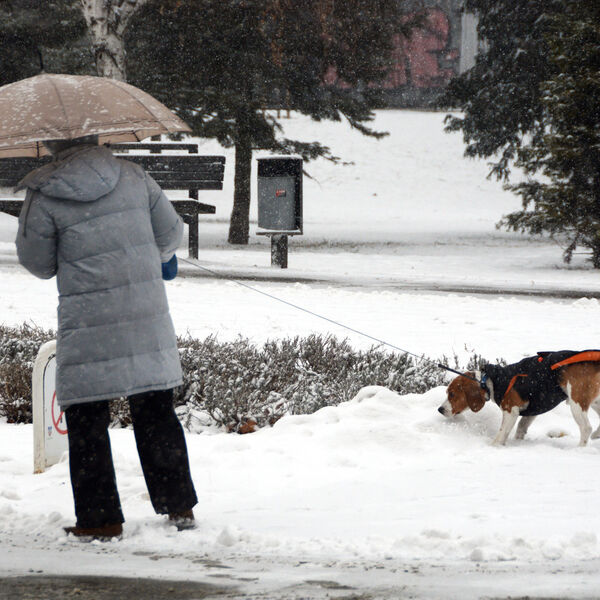 Tačno ovog datuma će sneg pasti u gradovima širom Srbije: Okovaće celu zemlju, biće teška ledara