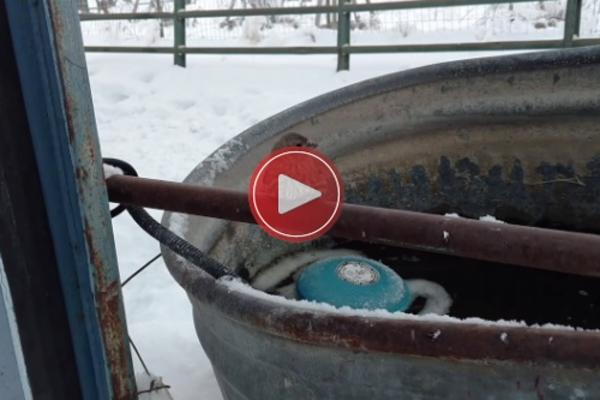 Kada vidite šta je ovaj ČOVEK uradio za MALU PTICU, vratićete vam se VERA U LJUDE! (VIDEO)