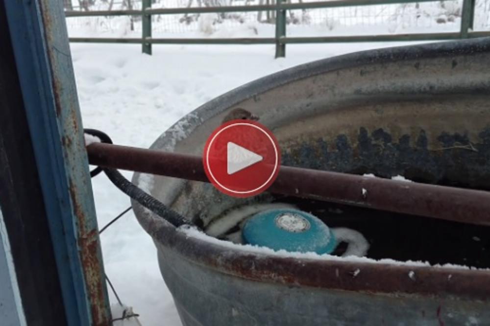 Kada vidite šta je ovaj ČOVEK uradio za MALU PTICU, vratićete vam se VERA U LJUDE! (VIDEO)