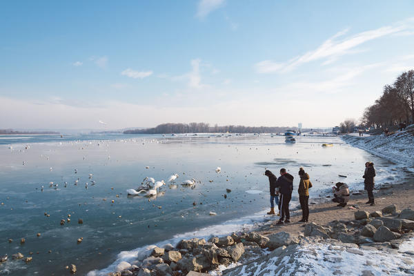 PRED PASTIRE ISKOČILA ZVER LEDENOG DOBA: Živeo milionima godina ZAROBLJEN U LEDU, znali smo samo za NJEGOVE KOSTI