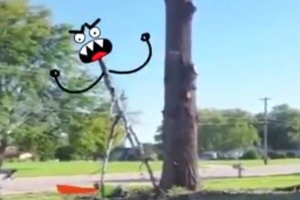 FAIL DANA: Glumio je Tarzana, a onda je dobio batine OD DRVETA!? (GIF)