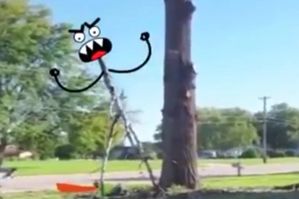 FAIL DANA: Glumio je Tarzana, a onda je dobio batine OD DRVETA!? (GIF)