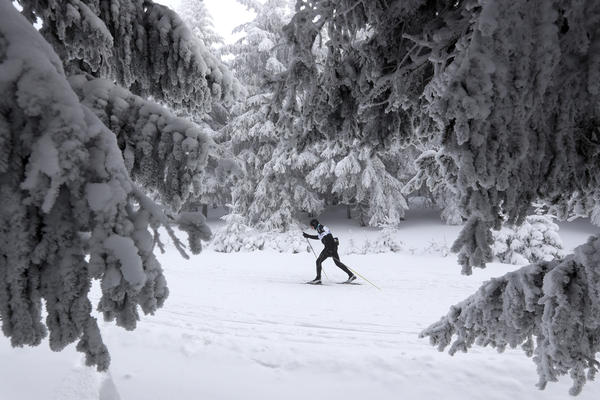 Šumari pomažu zavejanima u opštinama širom Srbije!