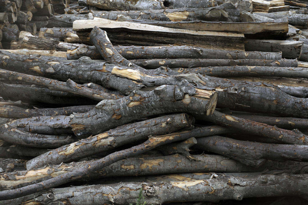 JEZIVA NESREĆA KOD VRANJA! Nastradao drvoseča kada je na njega palo drvo!