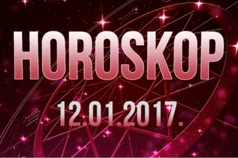 Lave, gde ti je nestala hrabrost? Škorpija kreće u akciju i muva sve po redu! (VIDEO)