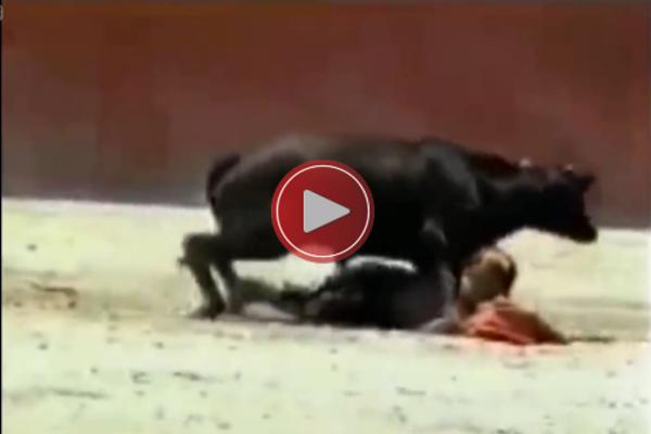 Mini toreadorka PALA PRED SAMIM BIKOM, a on je uradio nešto što NIKO NIJE OČEKIVAO! (VIDEO)