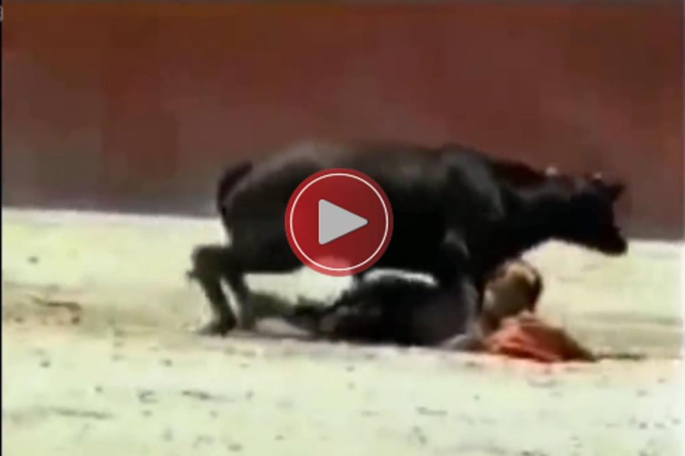 Mini toreadorka PALA PRED SAMIM BIKOM, a on je uradio nešto što NIKO NIJE OČEKIVAO! (VIDEO)