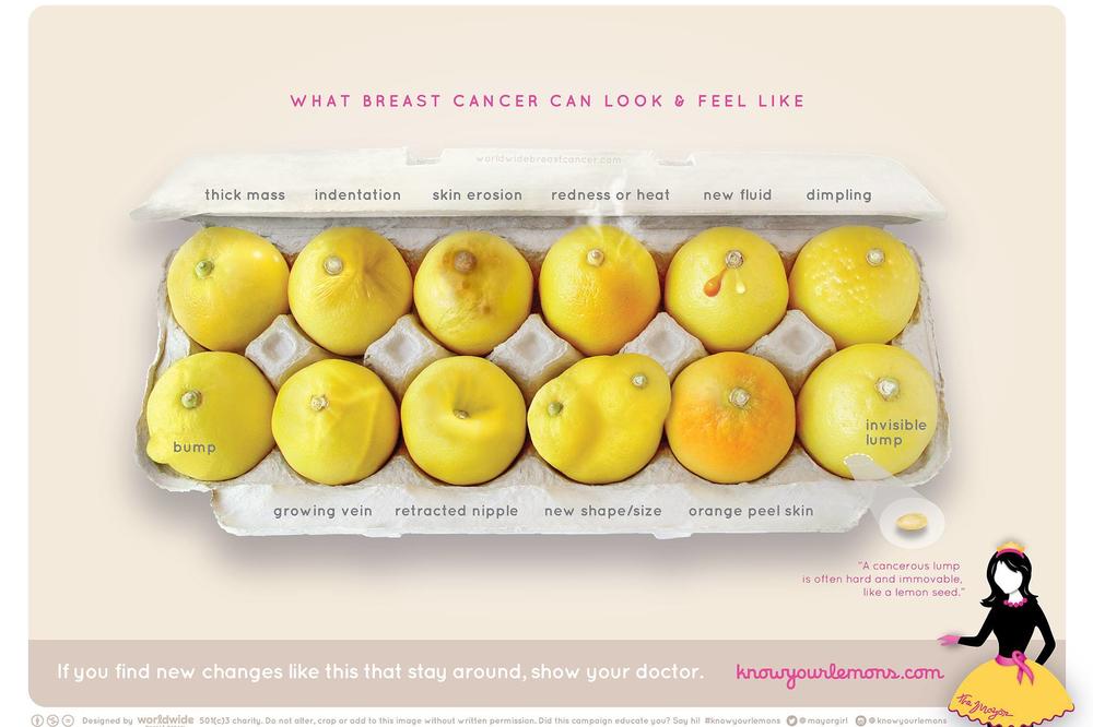 Šerovanjem ove slike možete da spasite neki život! (FOTO)