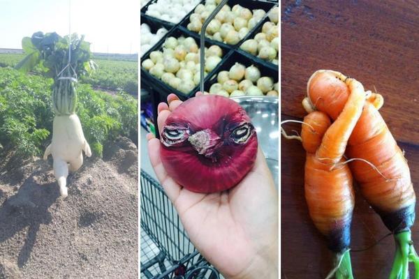 Voće i povrće koje uopšte ne liči na sebe! (FOTO)