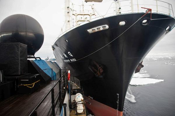 NAUKA ILI POKOLJ? Japanski brod uvaćen u ilegalnom UBIJANJU KITOVA! (FOTO) (VIDEO)