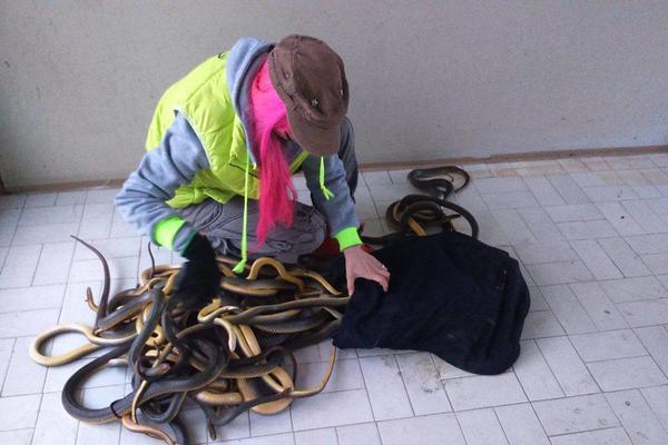 KAO U NAJGOREM KOŠMARU:  Radnici u Žitorađi ušli u šaht, a tamo ih je sačekao PRIZOR IZ HORORA! (FOTO) (VIDEO)