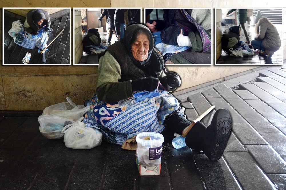 BAKA KOJA ŠALJE POLJUPCE ŽIVI U VELIKOJ BEDI: Ljubica prosi jer 3 mlada života zavise od nje! (FOTO) (VIDEO)