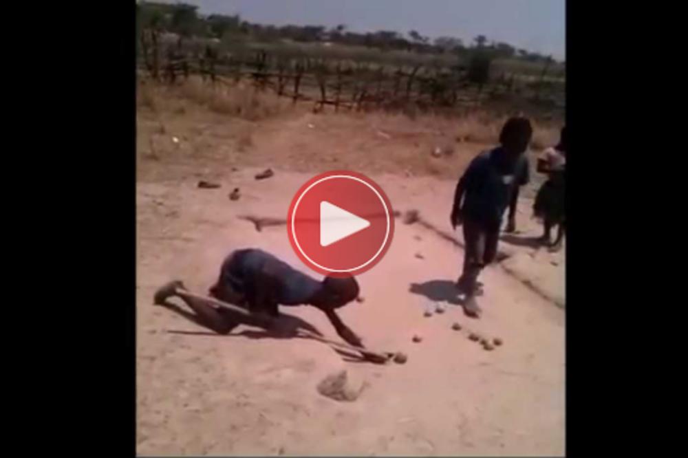 BRAVO LAVOVI MALI! Nikada više nećete biti NERVOZNI ZBOG GLUPOSTI kada vidite šta su ova DECA URADILA! (VIDEO)