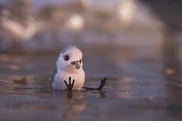 Ptičica ima veliki problem! Proćiće kroz mnogo toga dok nauči kako da ga reši! (VIDEO)