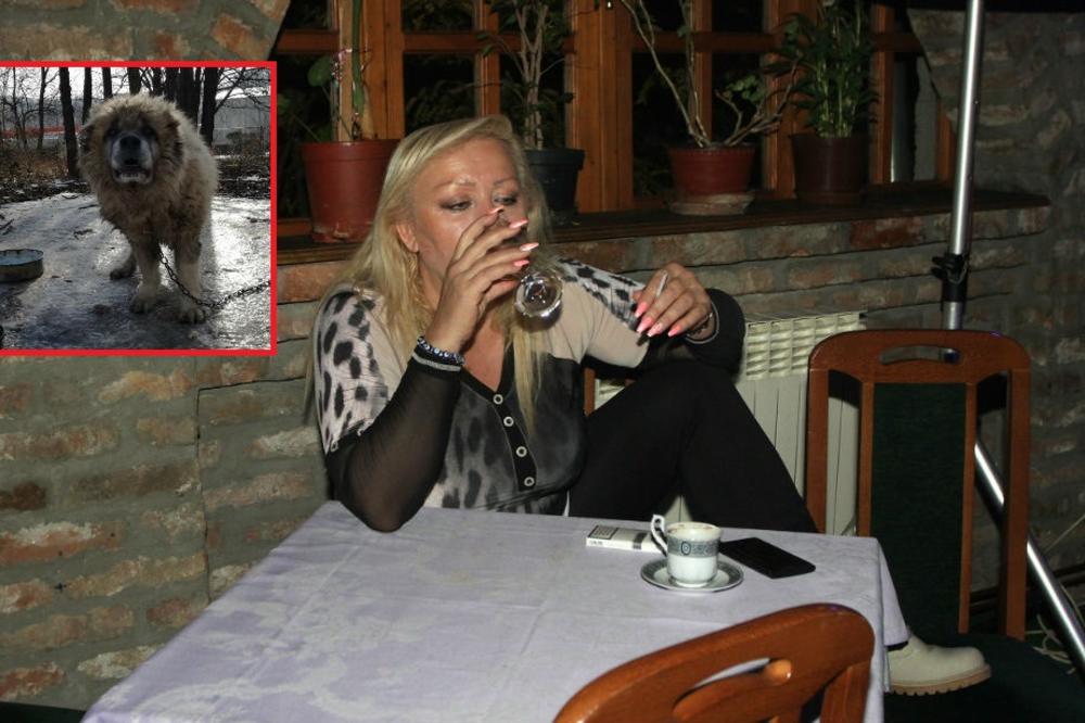 POZNATI ŽELE DA STRPAJU ZORICU U ZATVOR! Zlostavljala psa, držala ga na ledu bez hrane, vode i skrovišta