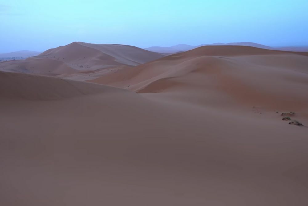 Sahara