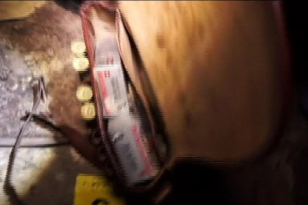 Pogledajte kako su uhapšeni lažni policajci koji su upali u kuću u Barajevu i oteli 7000 evra, oružje i municiju! (VIDEO)