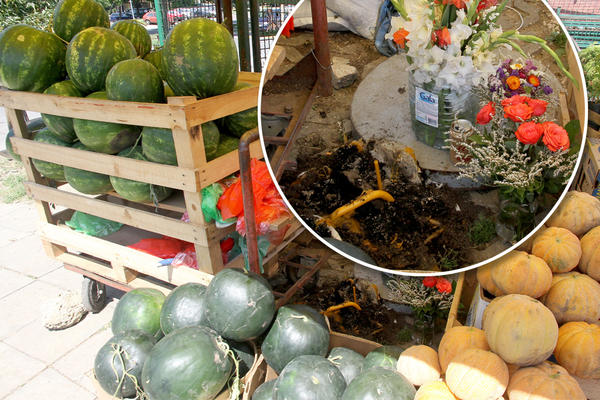 SMRT PRODAVCA LUBENICA PROĆI ĆE NEKAŽNJENO?! Njegova supruga otkriva činjenicu zbog koje ćete zanemeti!