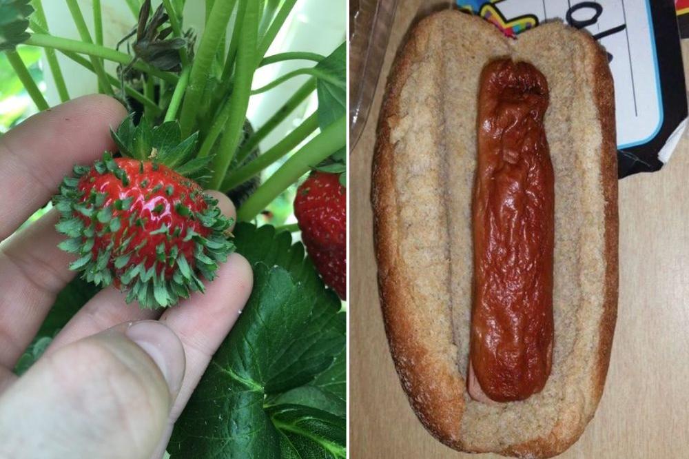 15 fotografija koje će učiniti da se osećate neprijatno, bez očiglednog razloga! (FOTO)