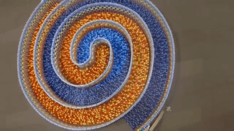 O njenim domino efektima priča ceo svet, a već je prati više od milion ljudi! (VIDEO)