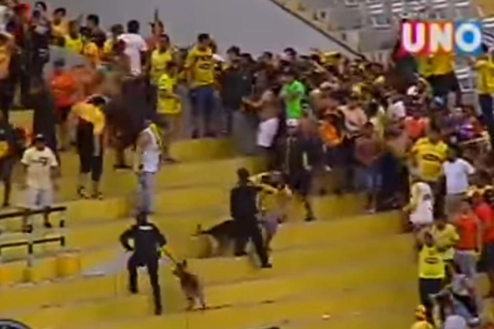 BRUTALNIJA NAVIJAČKA TUČA NIJE VIĐENA: Kerovi ujedaju, pretučene devojke, deca usred opšteg makljanja! (VIDEO)