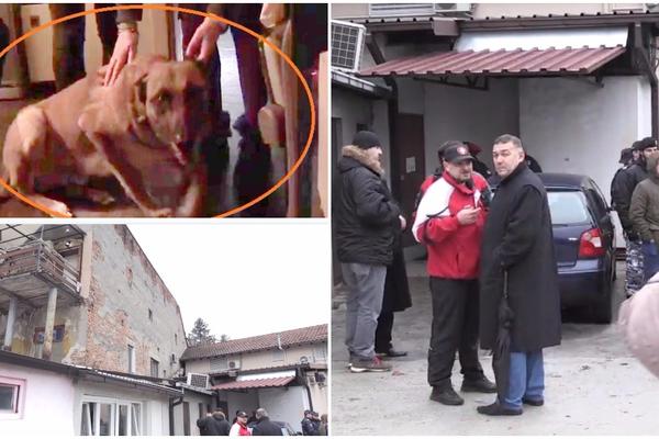 ŽUĆA PREDOSEĆAO ZLO! Ovo je pas sa Senjaka koga su IZVRŠITELJI želeli da uspavaju! (FOTO) (VIDEO)