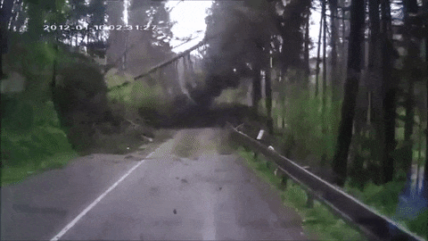 Drveće je rešilo DA IH SAHRANI! Gde god da su krenuli STABLA SU PADALA PO NJIMA! (VIDEO)