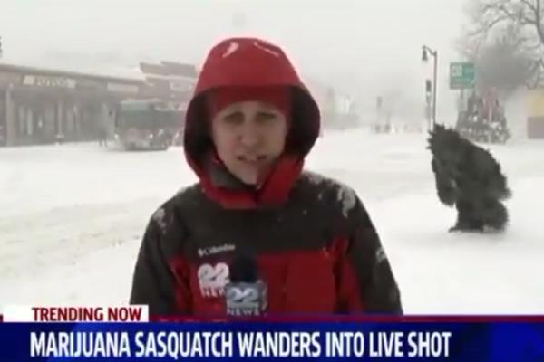 JETI UPAO U KADAR usred vremenske prognoze!? Šta je ova spodoba tražila tu? (VIDEO)