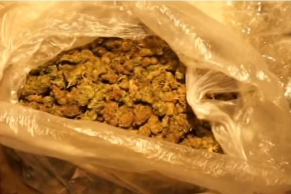 Drogu trpali u frižider i ispod sudopere: Da li je ovo najluđi narko par u Sbiji? (VIDEO)