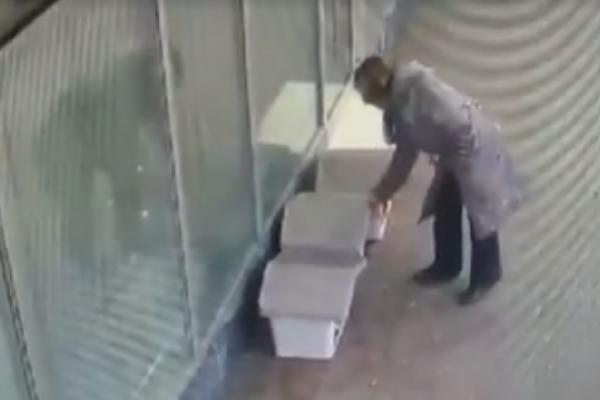 BEZOBRAZLUK KOJI ĆE VAS RAZBESNETI! Žena usred bela dana ukrala kućicu za pse, odšetala podignute glave! (VIDEO)