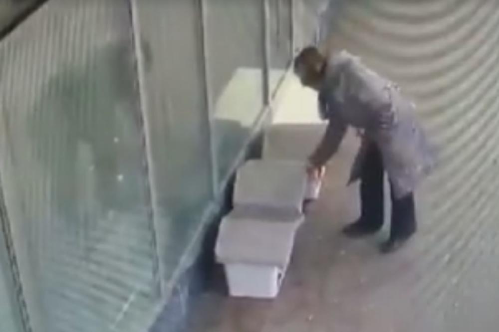 BEZOBRAZLUK KOJI ĆE VAS RAZBESNETI! Žena usred bela dana ukrala kućicu za pse, odšetala podignute glave! (VIDEO)
