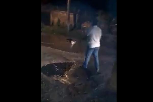 Lovili su krokodila, a pas je naivno poverovao da je zver savladana! (VIDEO)