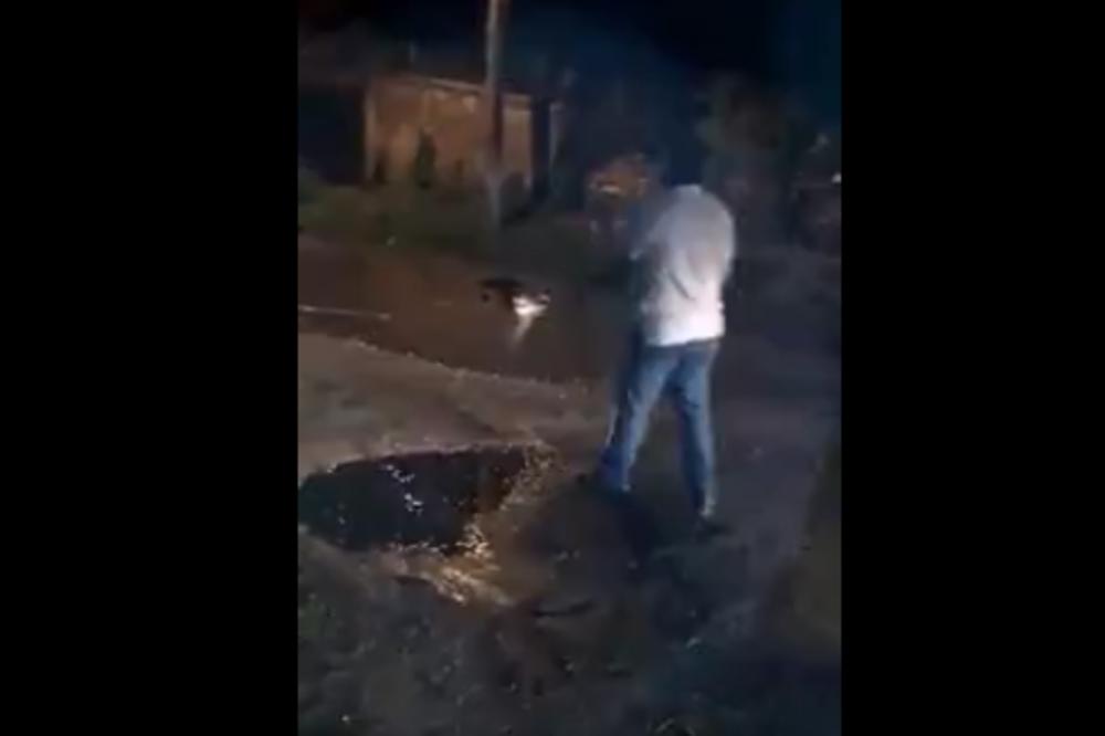 Lovili su krokodila, a pas je naivno poverovao da je zver savladana! (VIDEO)