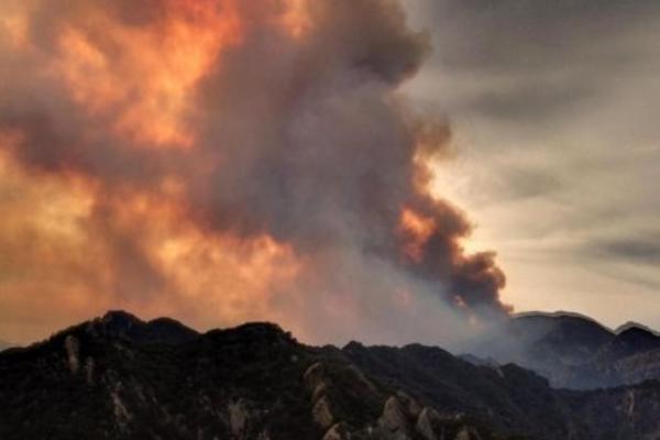 Meštani pomažu vatrogascima! POŽAR ZAHVATIO SUVU PLANINU: Gori sto hektara šume