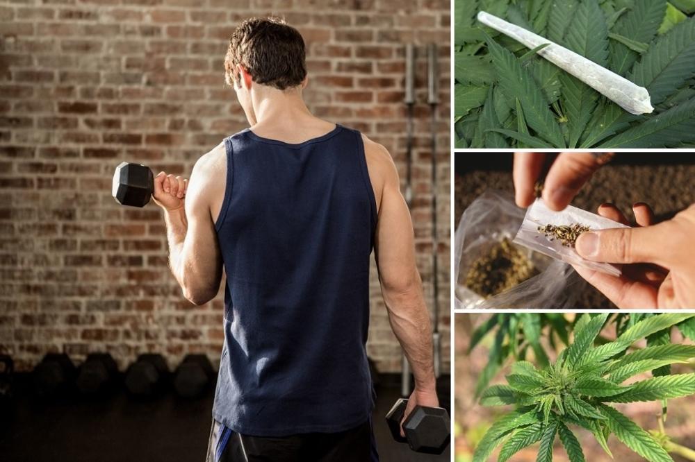 Kanabisom do bicepsa! Otvara se prva teretana na svetu za stonere (FOTO)