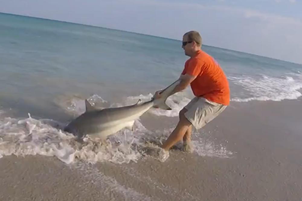 ŠČEPAO JE AJKULU GOLIM RUKAMA i izvukao je na obalu! Razlog će vas skroz oduševiti (VIDEO)