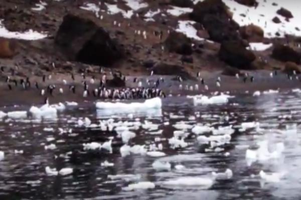 NEVEROVATNO OTKRIĆE NAUČNIKA NA ANTARKTIKU: Ovo zaista BAŠ NIKO nije očekivao!