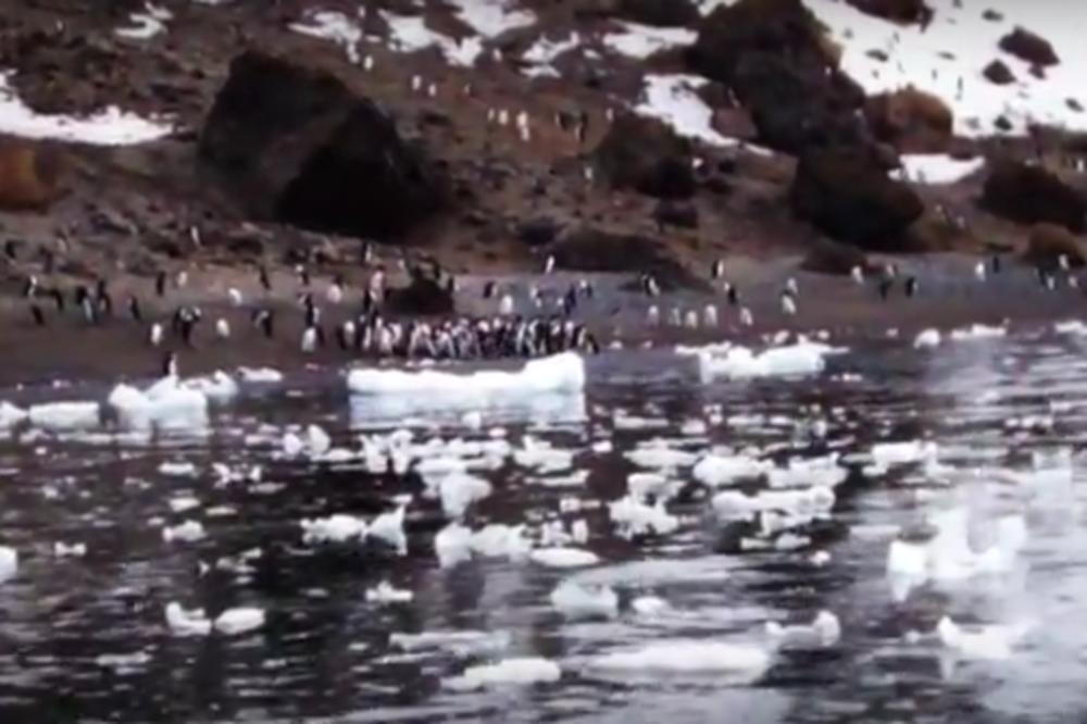 NEVEROVATNO OTKRIĆE NAUČNIKA NA ANTARKTIKU: Ovo zaista BAŠ NIKO nije očekivao!