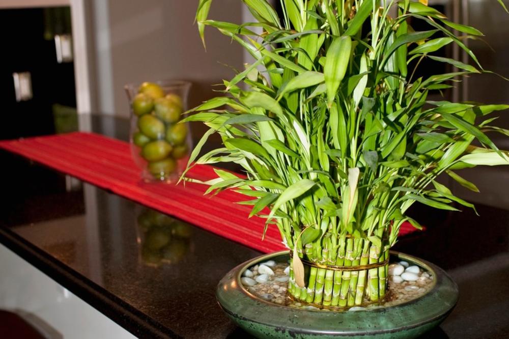 OVO OBAVEZNO URADITE PRE POČETKA ZIME: Veoma je VAŽNO da se za njih pobrinete NA VREME