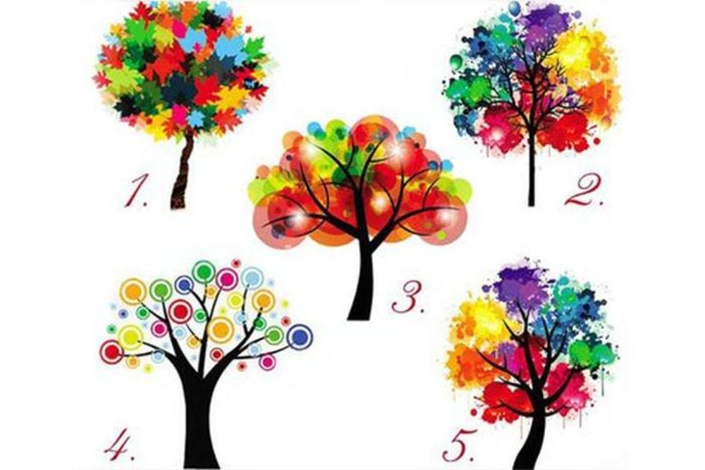 Šta krošnja koja te najviše privlači govori o tebi? (FOTO)