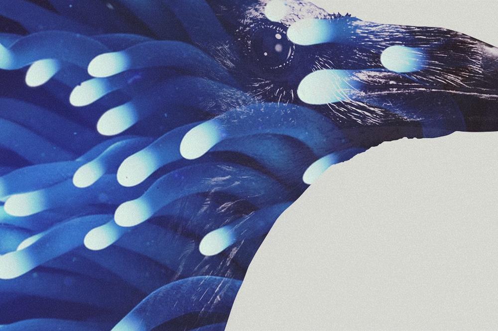 ENERGIJA I BETONASKI RITMOVI Dobar stari tehno zvuk uz Concrete DJ'z! (FOTO)