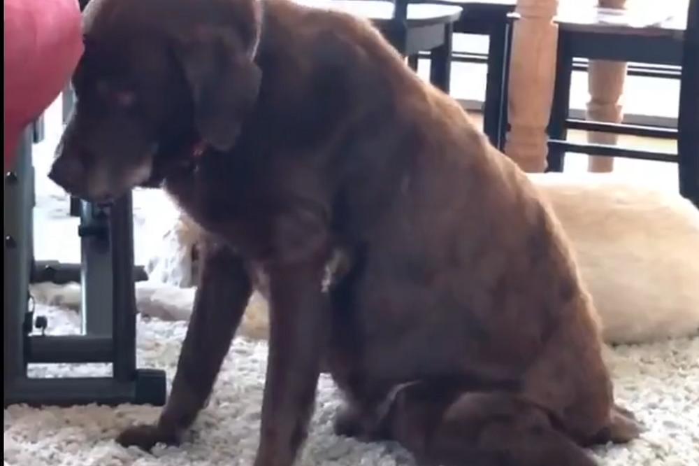 SPREMITE GAS MASKE, gospodin Prda ispušta TIHE UBICE! (VIDEO)