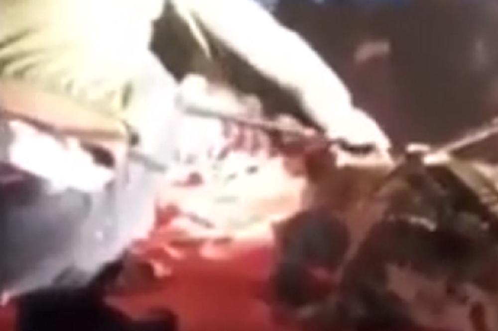 Krokodil odgrizao lice cirkuskom zabavljaču (UZNEMIRUJUĆI VIDEO)