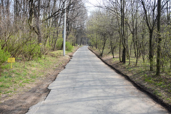 Već je pokušavala da oduzme sebi život: DEVOJKA PRONAĐENA OBEŠENA U ZVEZARSKOJ ŠUMI!