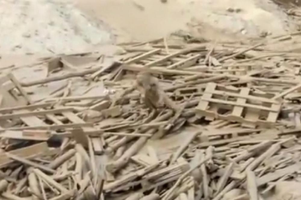 DRAMATIČNA BORBA ZA ŽIVOT ŽENE ZABELEŽENA KAMEROM: Ova žena je bila jača od bujice blata! (VIDEO)